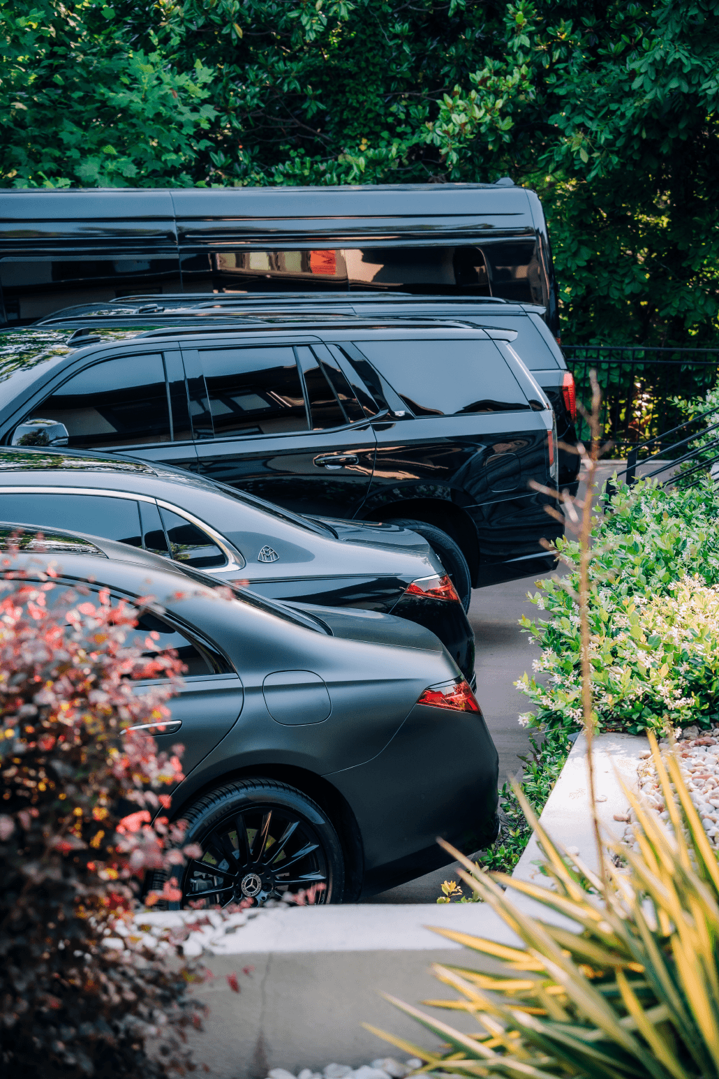 Row of luxury black vehicles, including a matte sedan, parked beside lush green foliage.